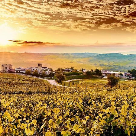 Zornitza Family Estate Relais & Chateaux 梅尔尼克 外观 照片