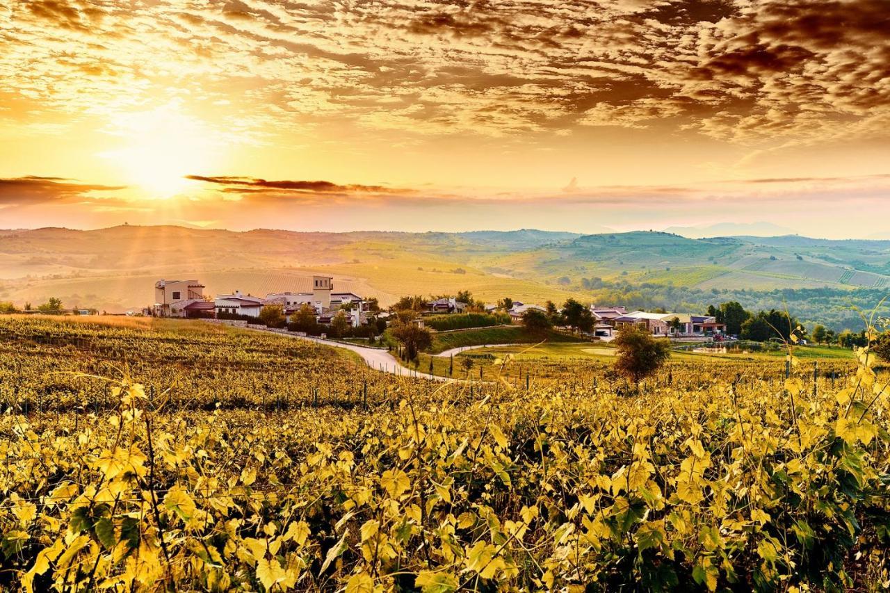 Zornitza Family Estate Relais & Chateaux 梅尔尼克 外观 照片