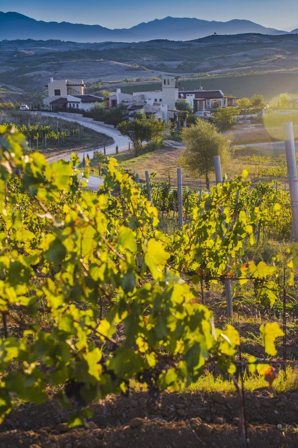 Zornitza Family Estate Relais & Chateaux 梅尔尼克 外观 照片